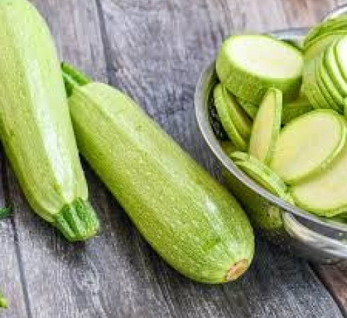Squash Zucchini Gribovskiy 
